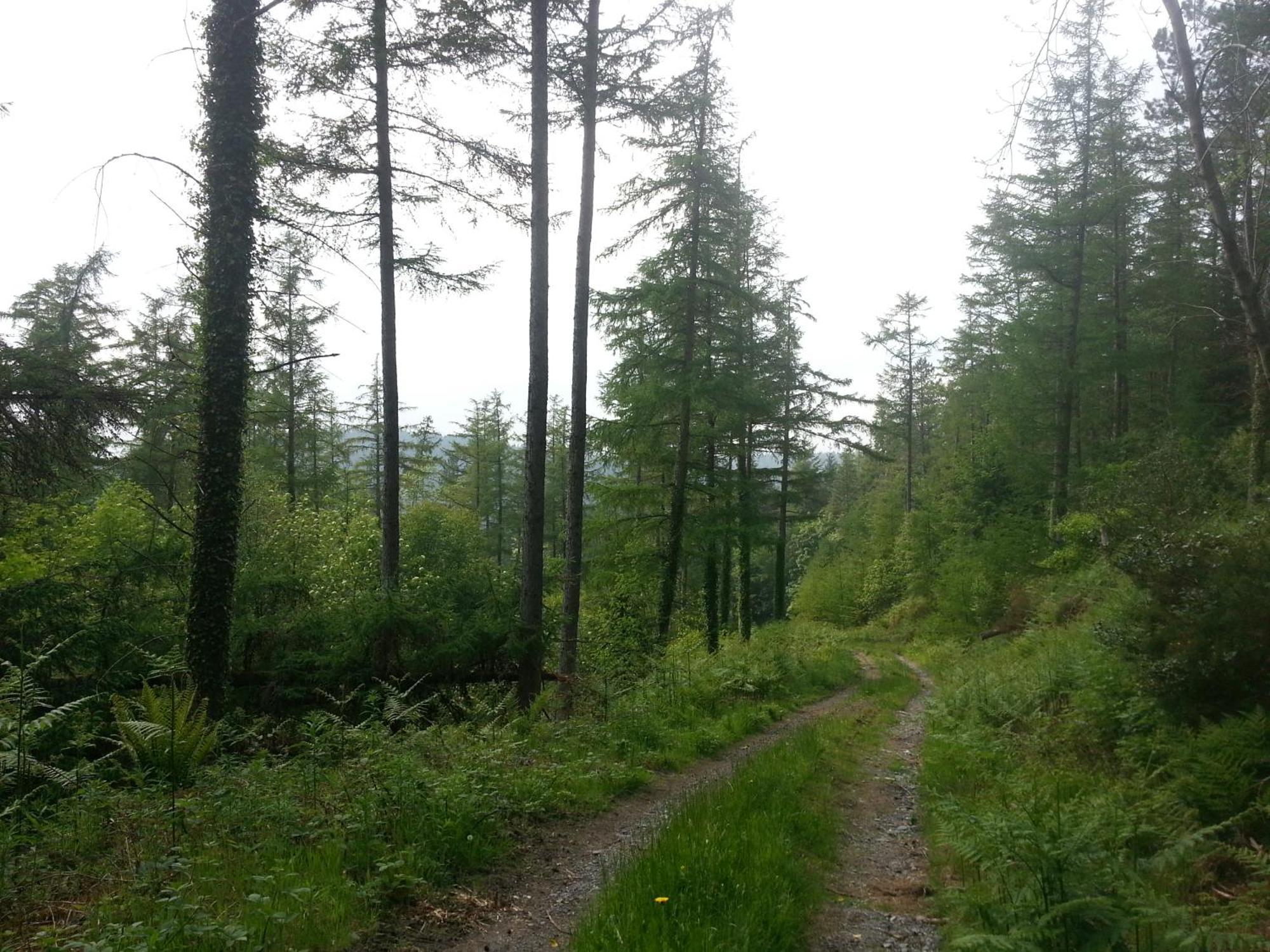 Villa Ty Capel Isa Blaenau Ffestiniog Esterno foto