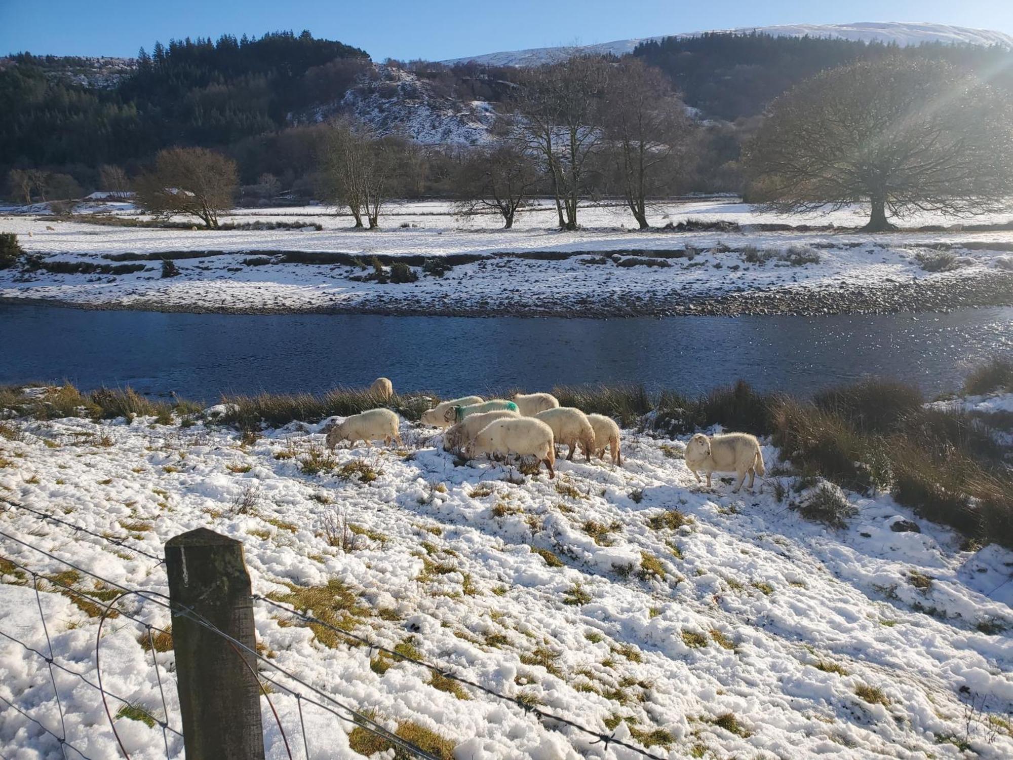 Villa Ty Capel Isa Blaenau Ffestiniog Esterno foto